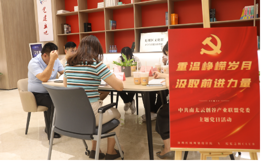 南太云创谷产业联盟党委成立一周年主题党日活动
