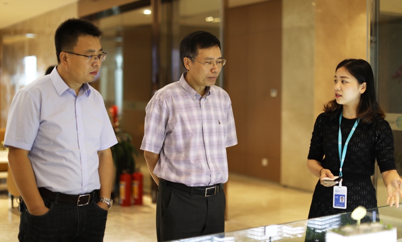 宁波保税区工业科技合作局副局长陈敏一行到访南太集团